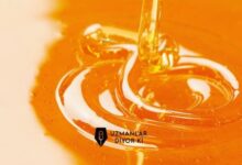 hakiki-bal-nasil-anlasilir