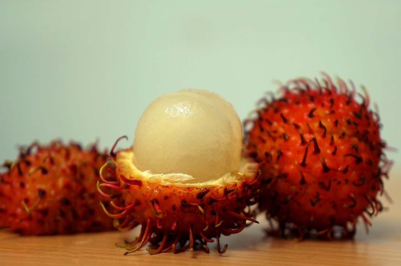 rambutan nedir