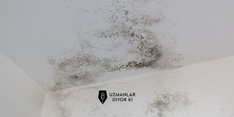 Rutubet Neden Olur? 10 Farklı Zararları Uzmanlar Diyor Ki
