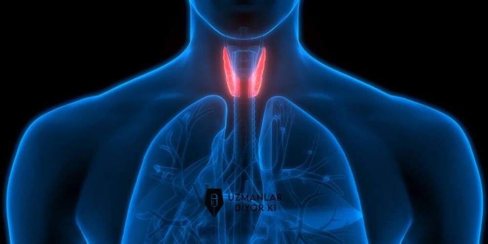 selenyum-ve-tiroid