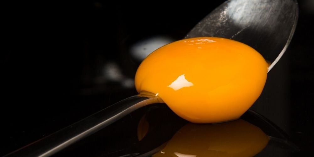 çiğ yumurta sarısı besin değeri