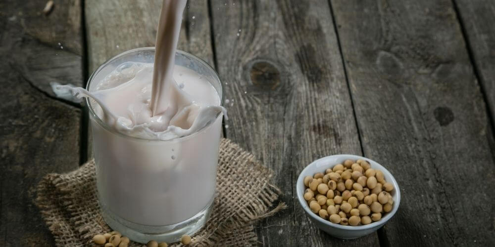 soya sütü nasıl yapılır